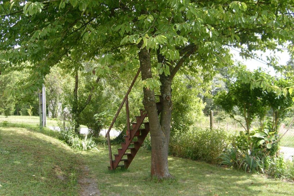 Petite Maison Au Bord Du Canal, 8' Zoo De Beauval, Pmr نوايير-سور-شير المظهر الخارجي الصورة